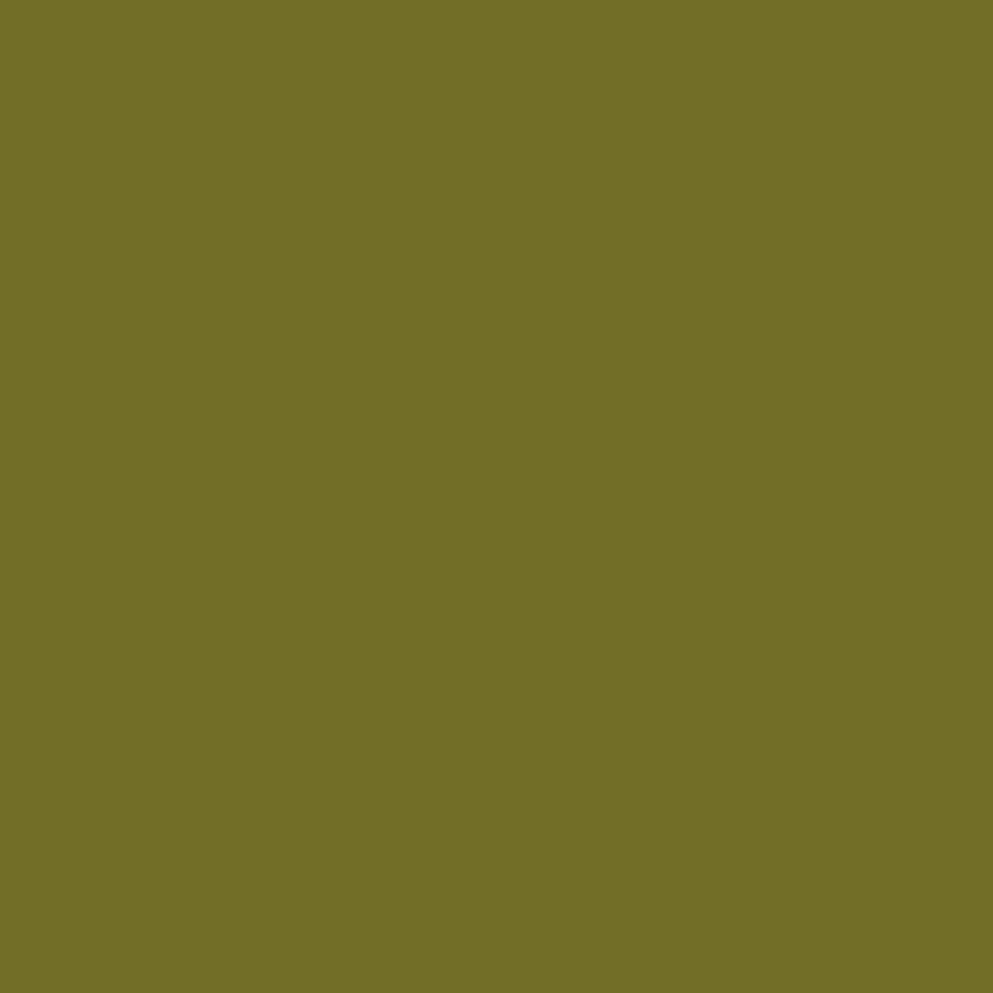 Vert Olive 10.116